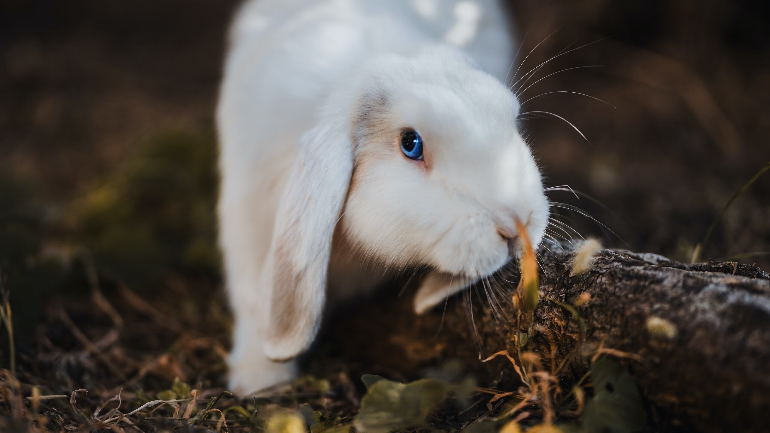 2025年9月16-17日足球赛事详细预告与分析，2021.6.16足球